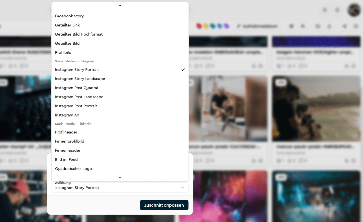 Download-Dialog mit Social-Media-Formaten